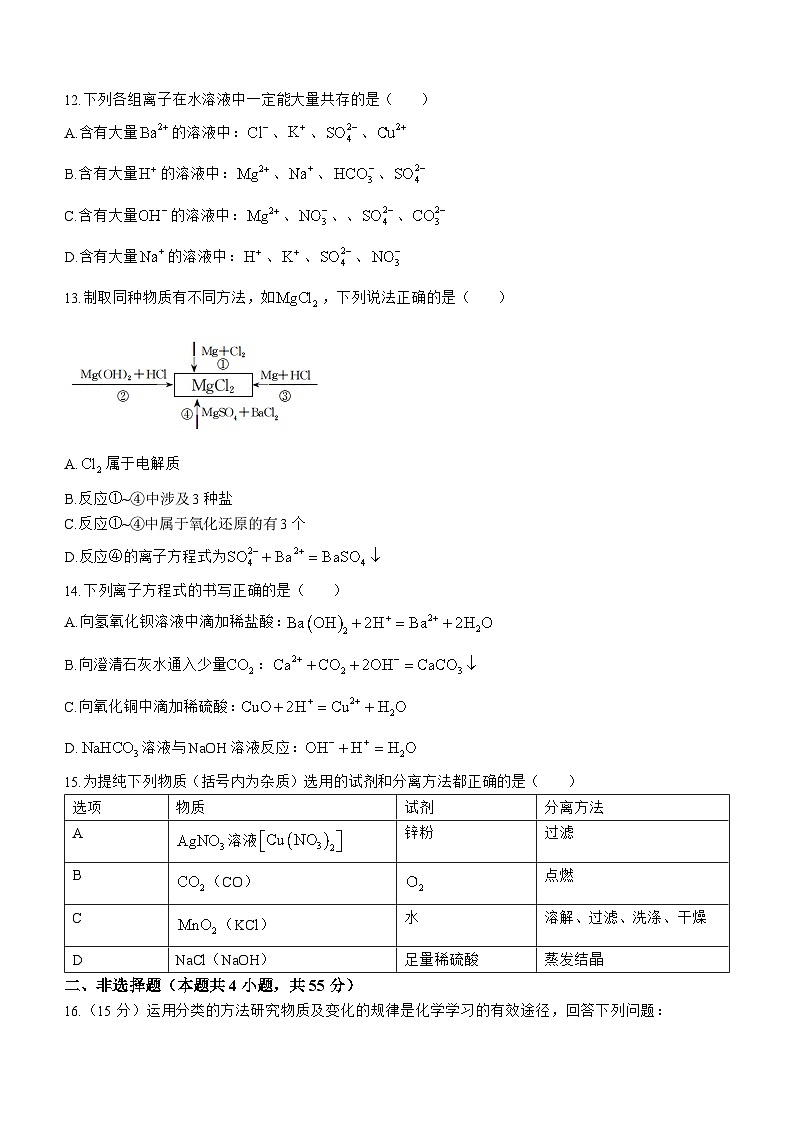 吉林省白城市通榆县毓才高级中学2024-2025学年高一上学期第一次月考 化学试卷03