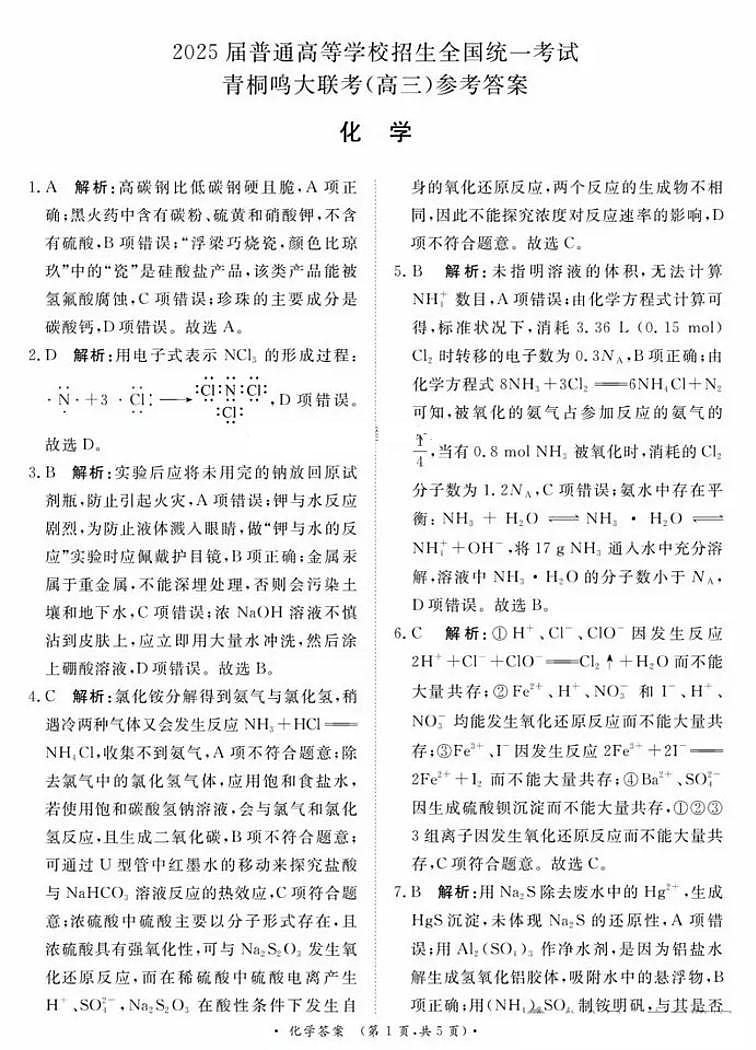 河南省青桐鸣2025届高三上学期10月大联考（10月月考）化学试卷01