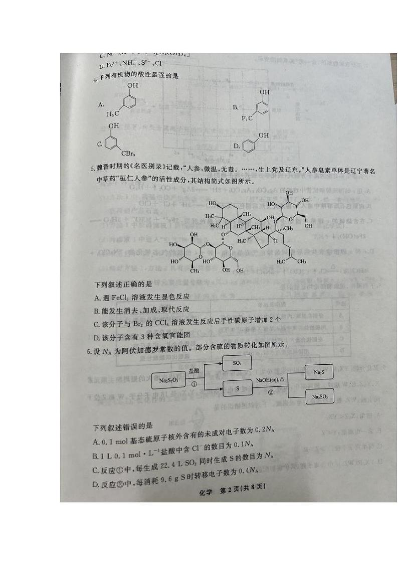 辽宁省名校联盟2024-2025学年高三上学期10月月考化学含答案第2页