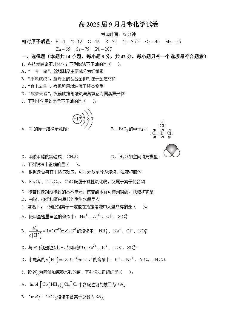 四川省内江市某校2024-2025学年高三上学期9月月考化学试卷第1页