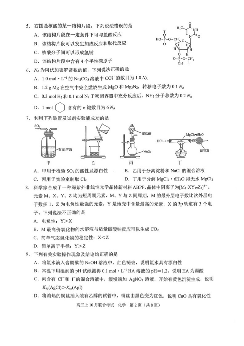 重庆市拔尖强基联盟2025届高三上学期10月联合考试化学试题+答案第2页