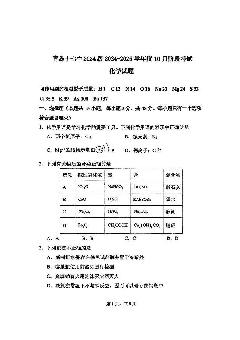 山东省青岛第十七中学2024-2025学年高一上学期第一次月考 化学试题01