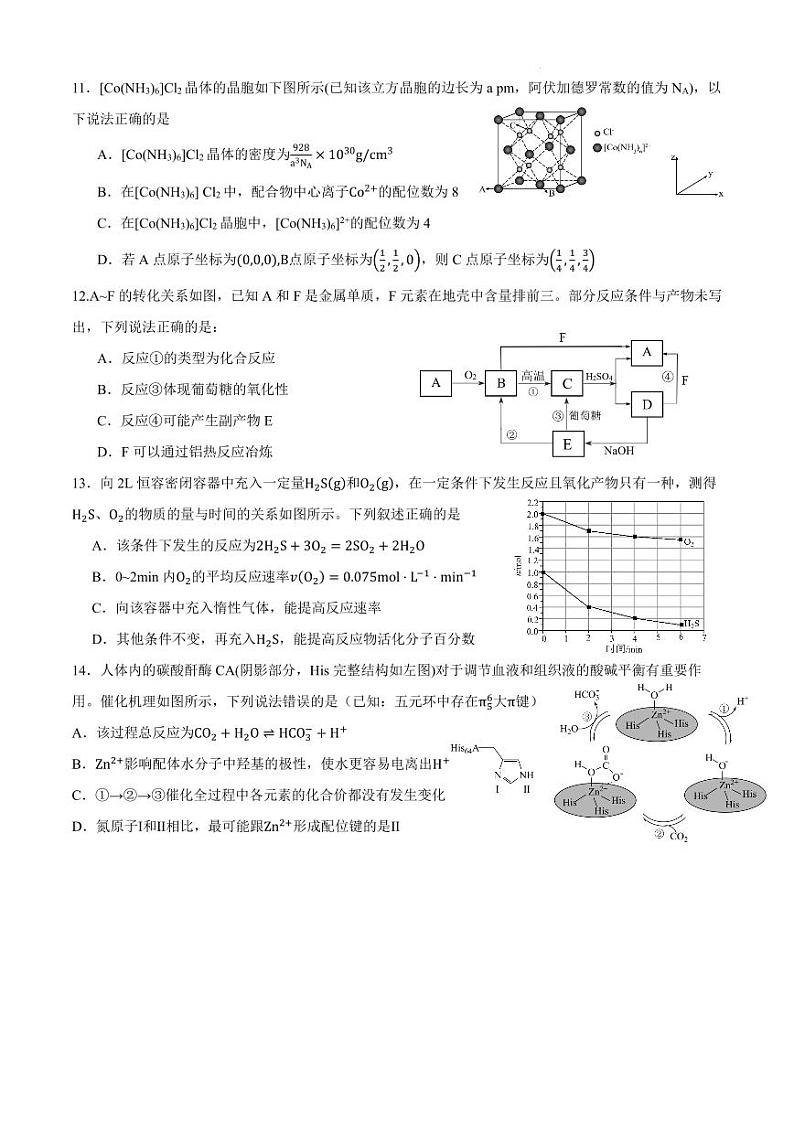 四川成都石室中学2025届高三10月月考化学试题第3页