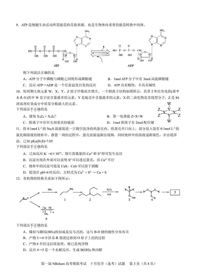 浙江第一届NBchem2024-2025学年高三上学期高考模拟考试化学试题第3页