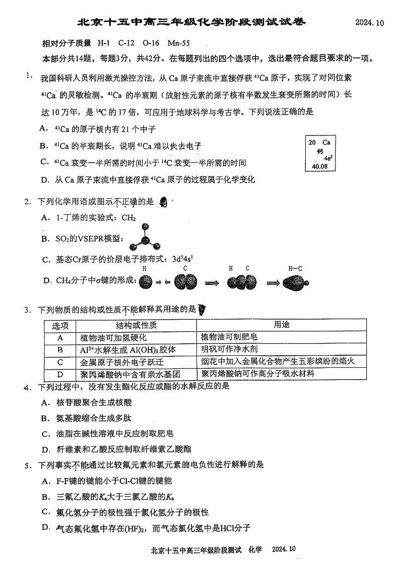 北京市第十五中学2024-2025学年高三上学期10月月考化学试题01