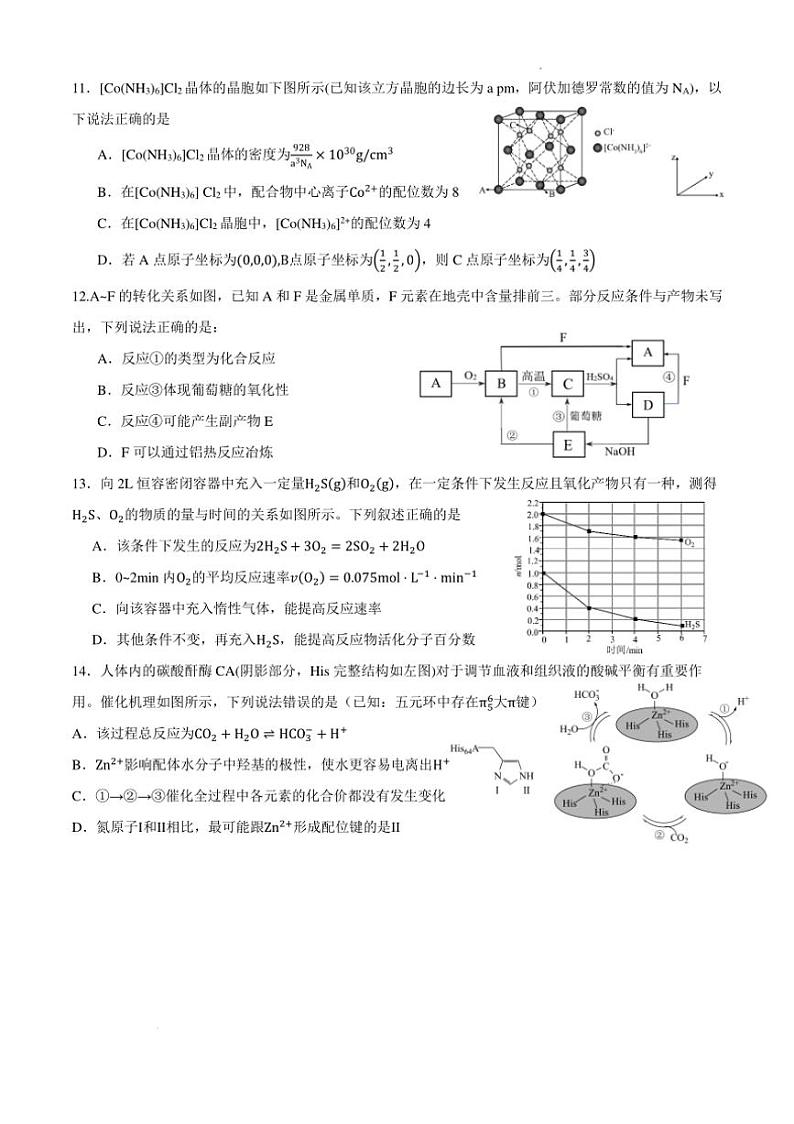 [化学]四川成都石室中学2025届高三上学期10月月考试题(有答案)第3页