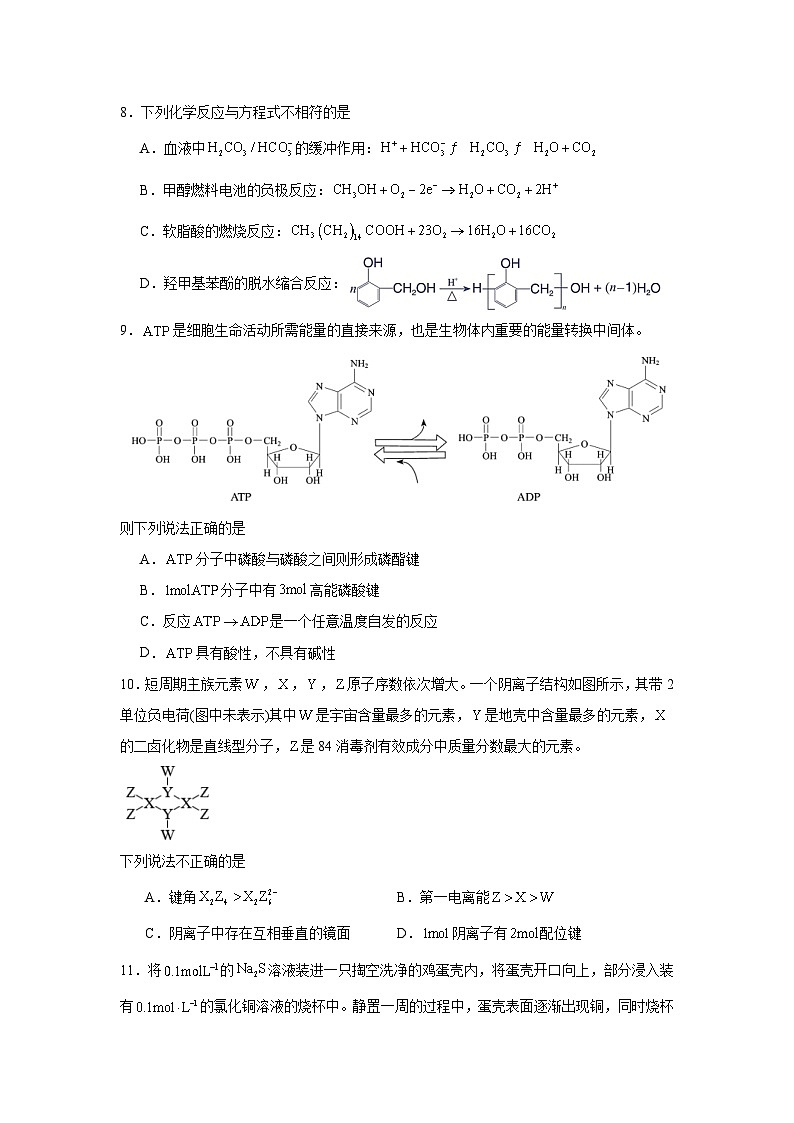 浙江省第一届NBchem2024-2025学年高三上学期高考模拟考试化学试题第3页