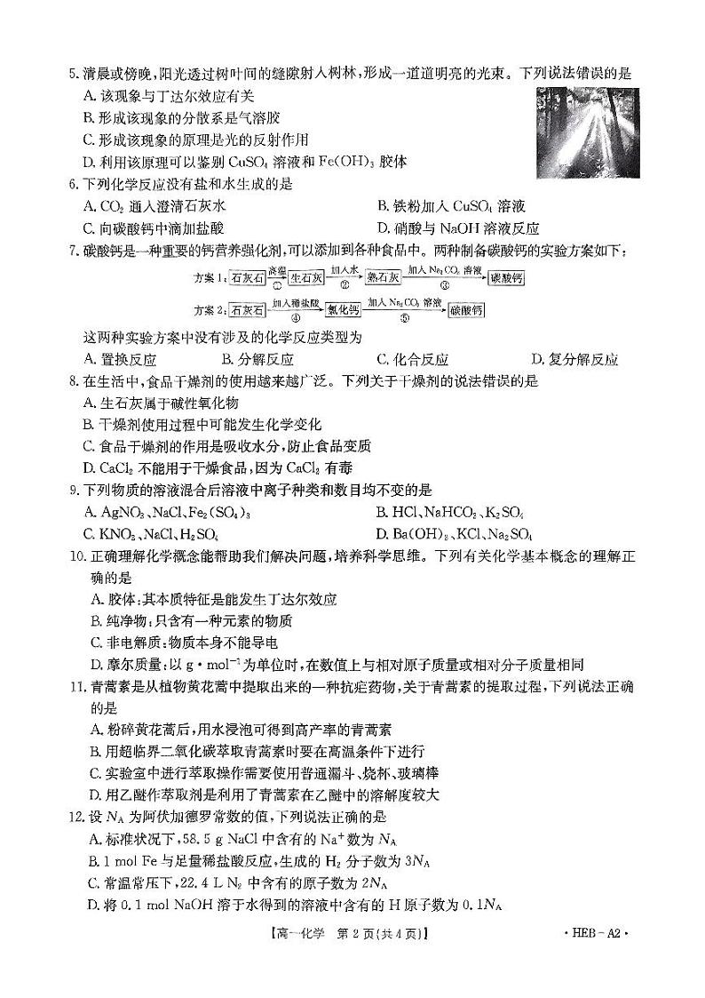 河北省保定市2024-2025学年高一上学期10月联考 化学试题02