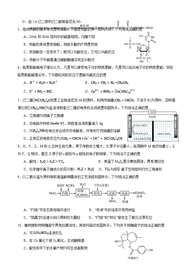 四川省成都市石室中学2024-2025学年高三上学期10月月考化学试题（Word版附答案）02