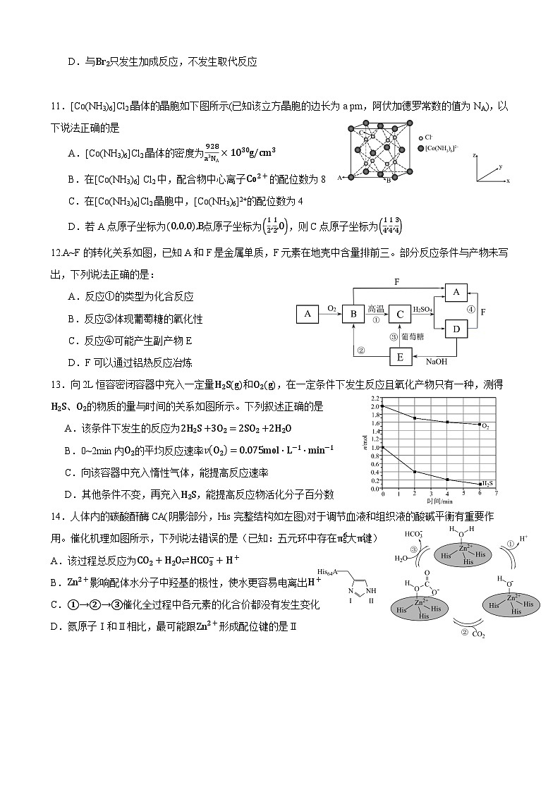 四川省成都市石室中学2024-2025学年高三上学期10月月考化学试题（Word版附答案）03