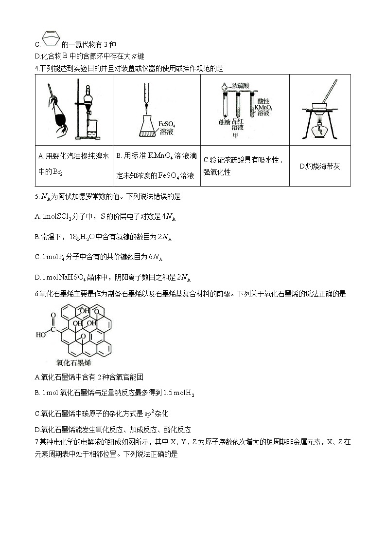 山东省菏泽第一中学2022-2023学年高三上学期期末考试化学试题02