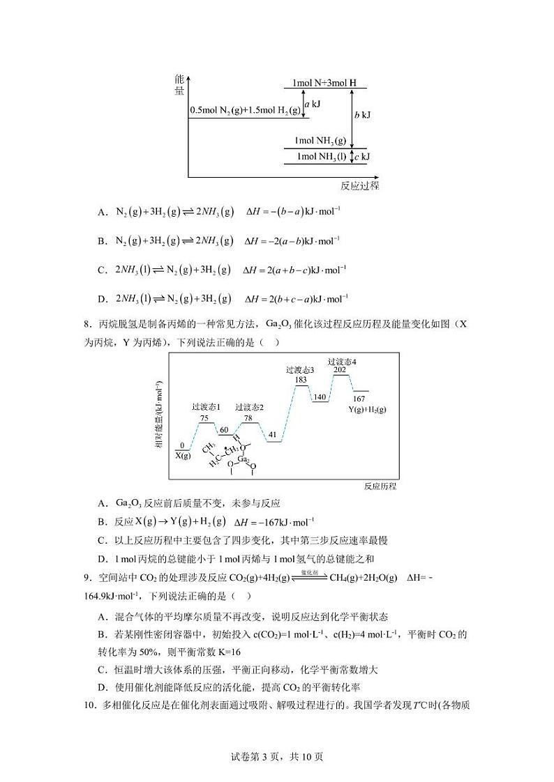 广东省深圳格致中学2024-2025学年高二上学期第一次段考化学试题第3页