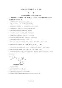 [化学]2024北京四中高三上学期10月月考试卷及答案