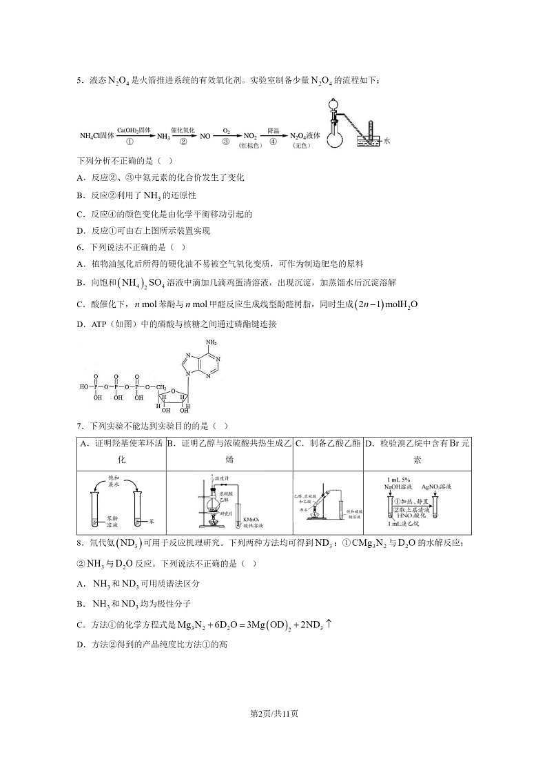 [化学]2024北京四中高三上学期10月月考试卷及答案第2页