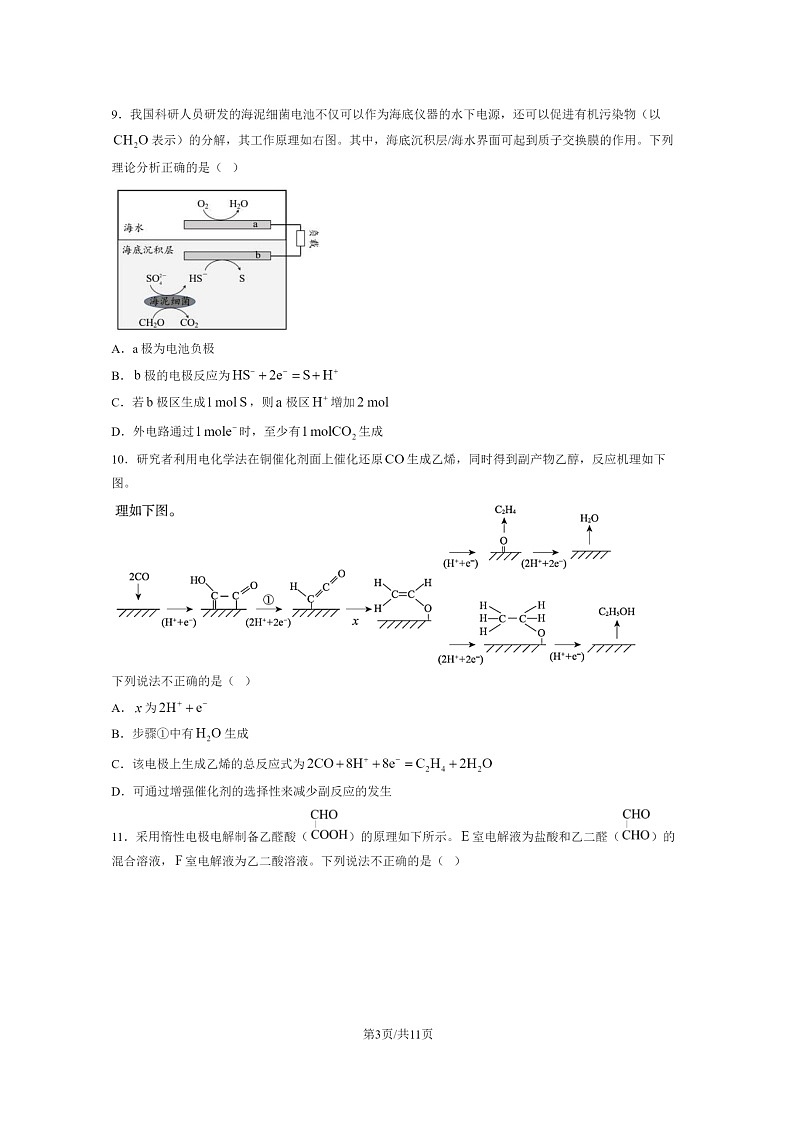 [化学]2024北京四中高三上学期10月月考试卷及答案第3页