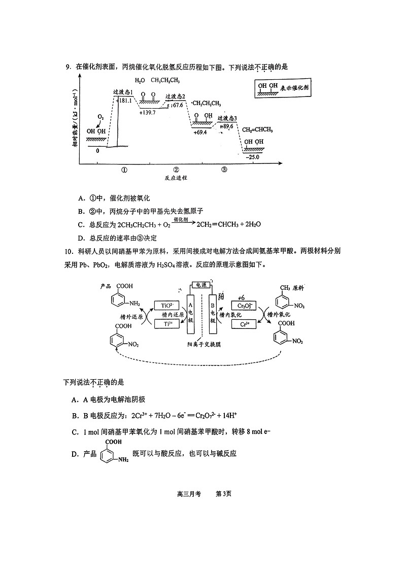[化学]2024北京铁二中高三上学期10月月考试卷第3页