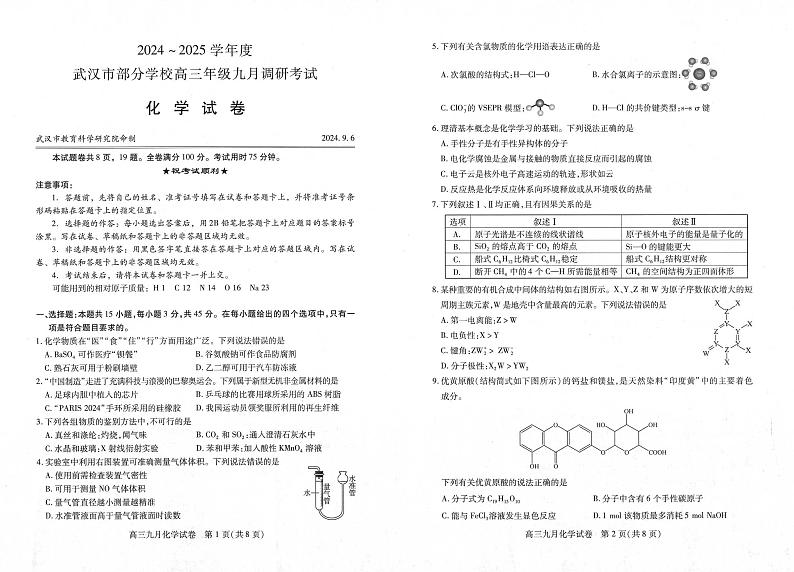 湖北省2024-2025学年度武汉市高三九月调研考试试卷+化学第1页