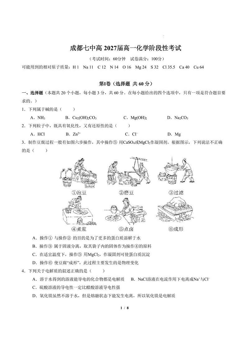 四川省成都市第七中学2024-2025学年高一上学期第一次月考 化学试题01