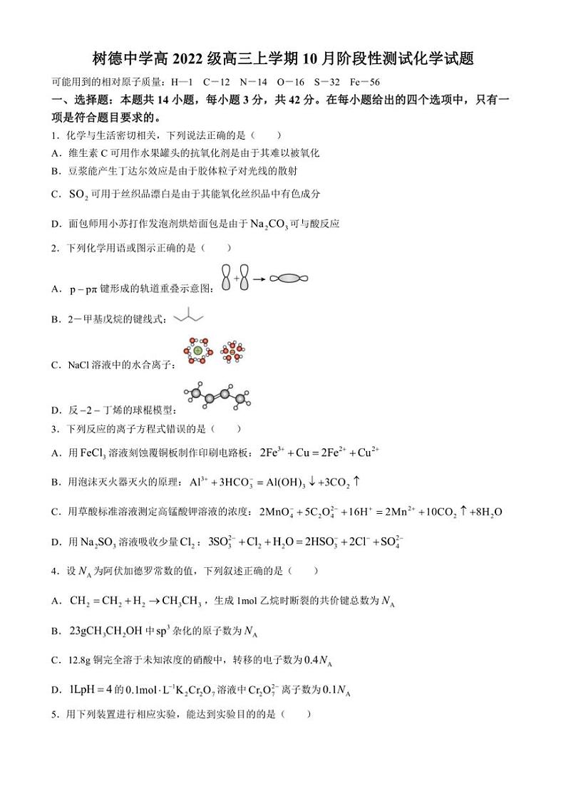 [化学]四川省成都市树德中学2024～2025学年高三上学期10月月考试题(有答案)01