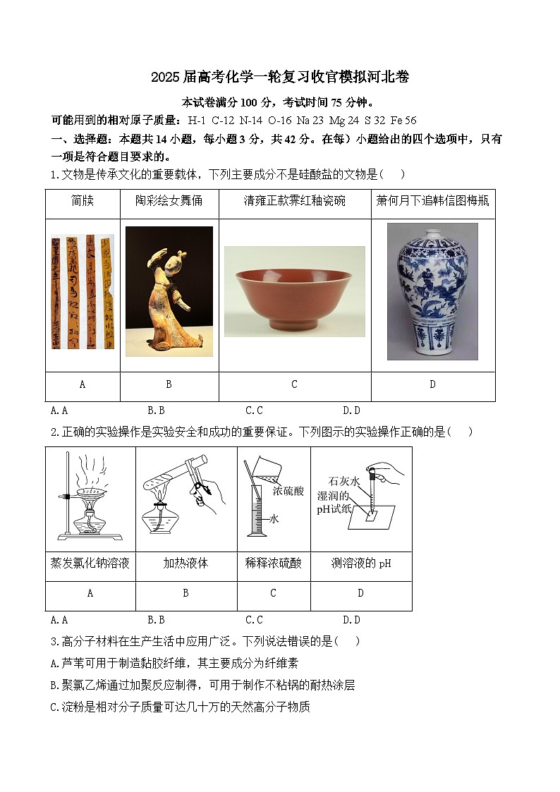 2025届高考化学一轮复习收官模拟河北卷01