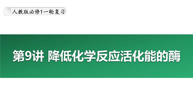 第9讲 降低化学反应活化能的酶-备战2025年高考生物大一轮复习课件（新高考通用）第1页