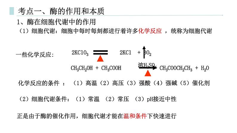 专题05 降低化学反应活化能的酶-2025年高考生物一轮复习课件第2页