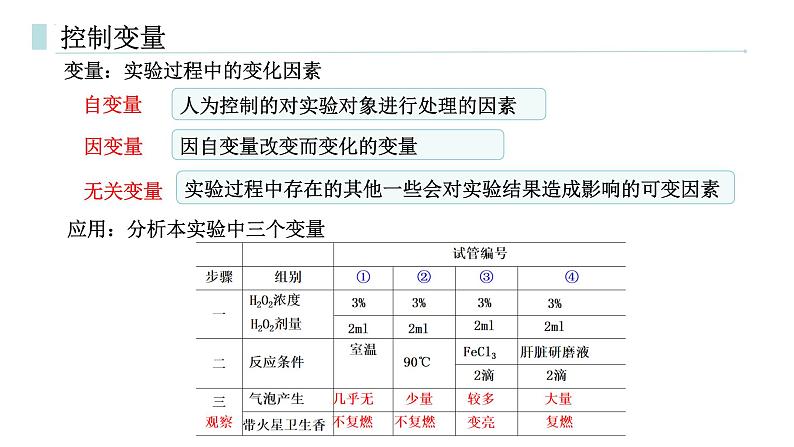 专题05 降低化学反应活化能的酶-2025年高考生物一轮复习课件第5页