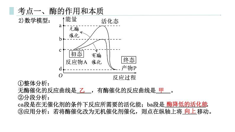 专题05 降低化学反应活化能的酶-2025年高考生物一轮复习课件第7页