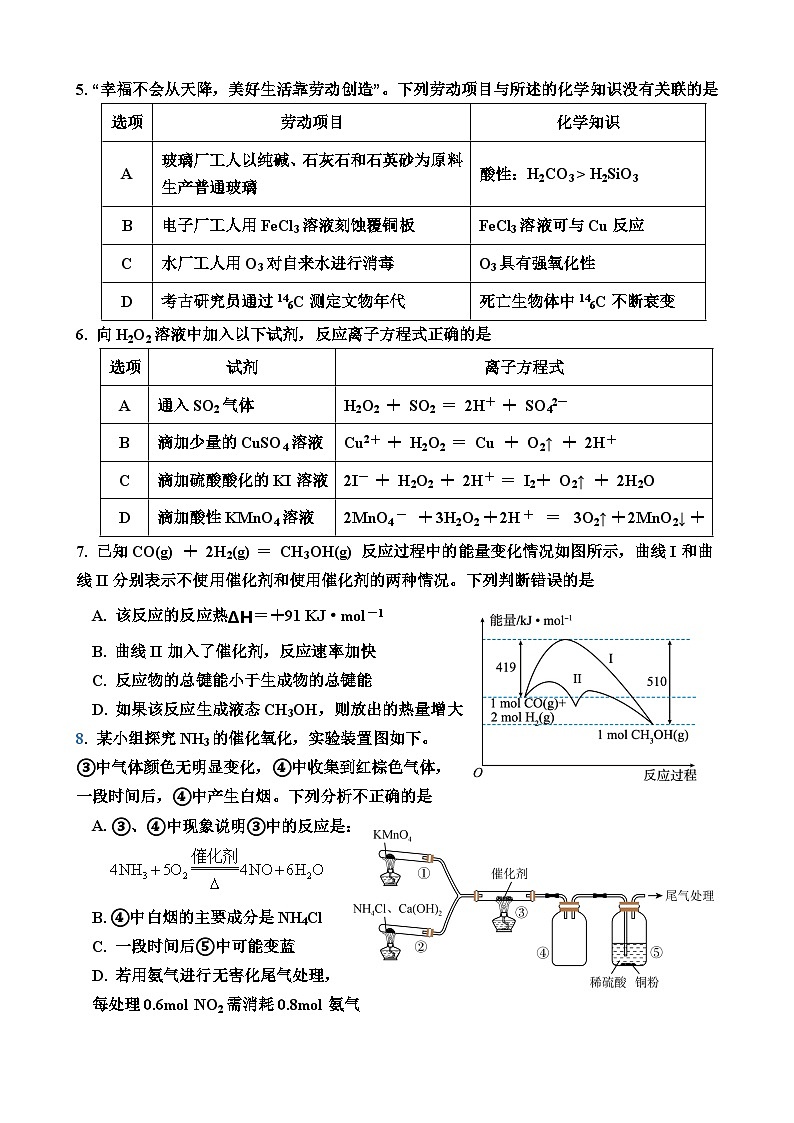 广东省两阳中学2024-2025学年高二上学期第一次月考化学试题第2页