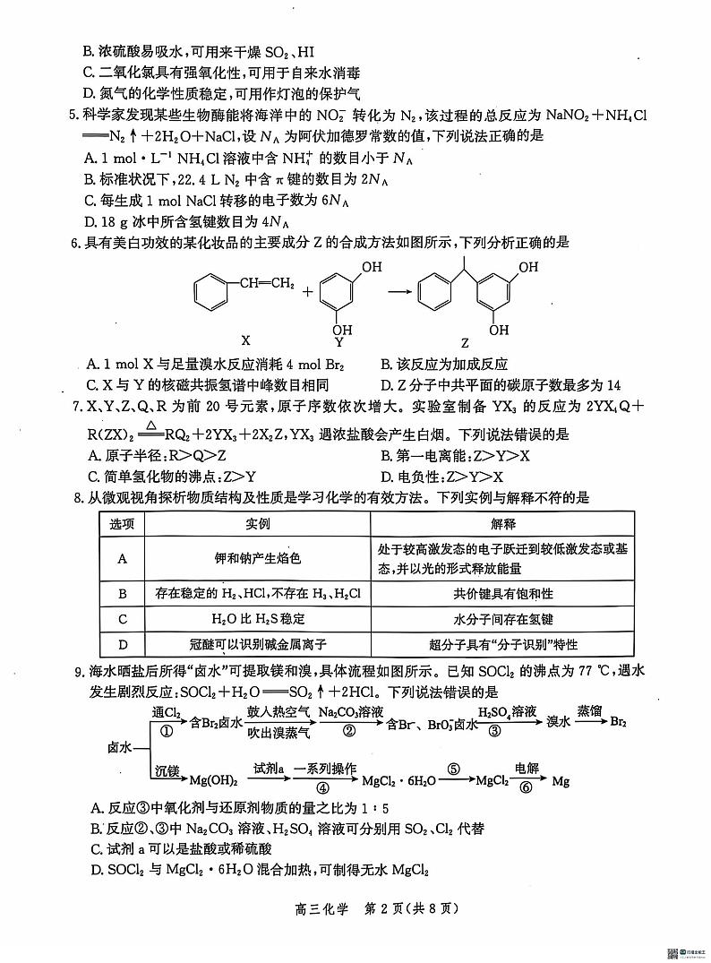 河北省沧州市2024-2025学年高三上学期10月月考化学试题（PDF版附解析）第2页
