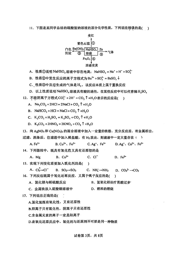 [化学]2024北京清华附中朝阳学校高一上学期10月月考试卷第3页