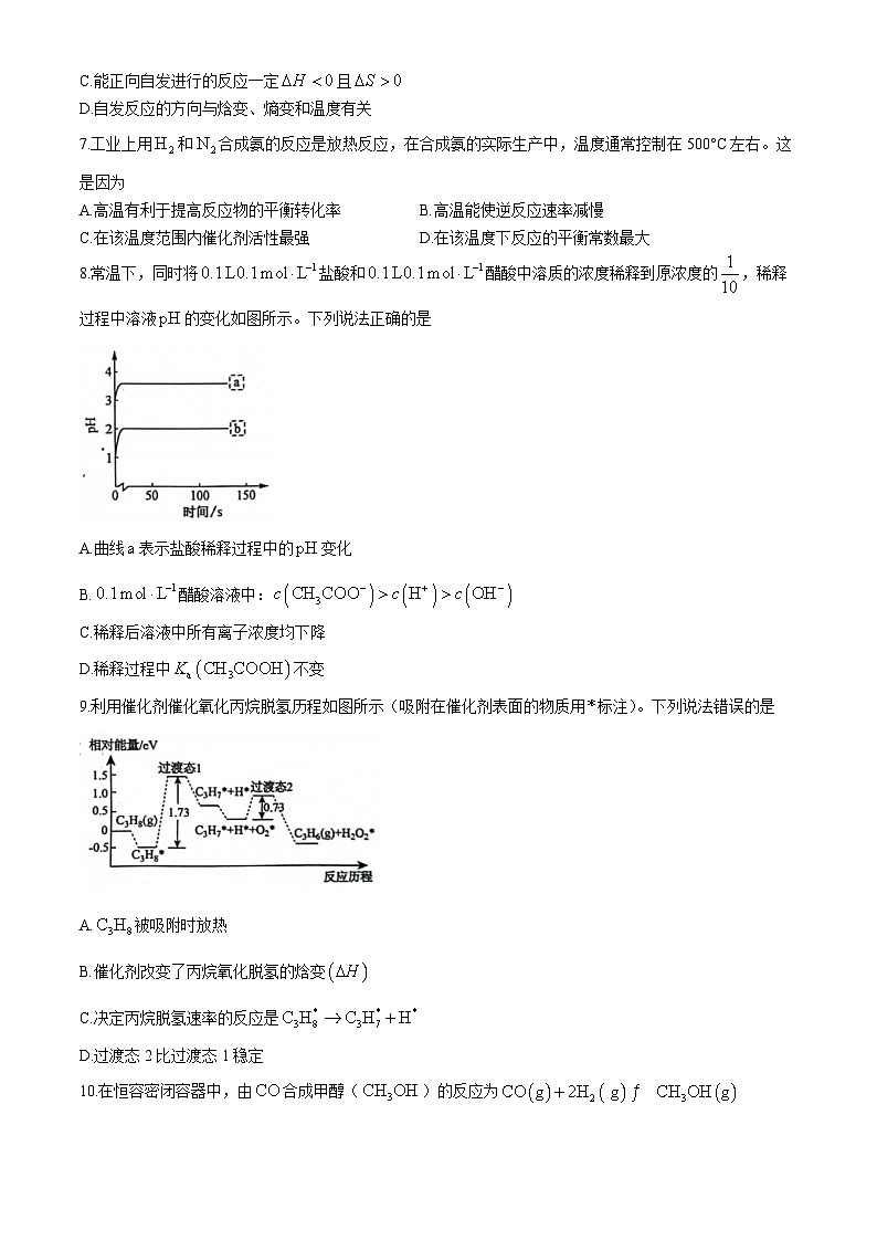 山东省菏泽市鄄城县第一中学2024-2025学年高二上学期10月月考 化学试题第2页