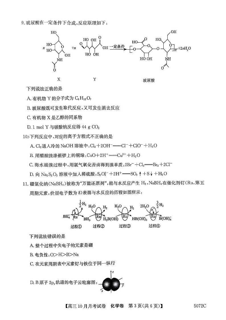 黑龙江省绥化市绥棱县第一中学2024-2025学年高三上学期10月月考化学试题03