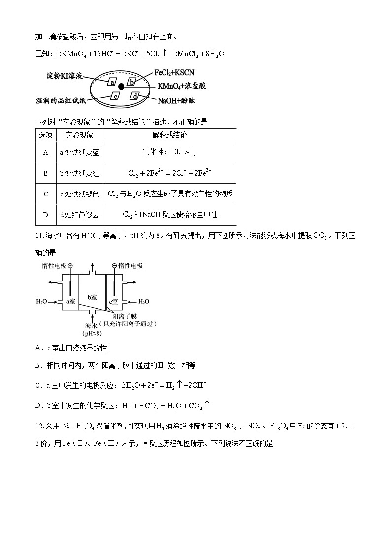 北京市通州区运河中学2024-2025学年高三上学期10月月考化学试题第3页