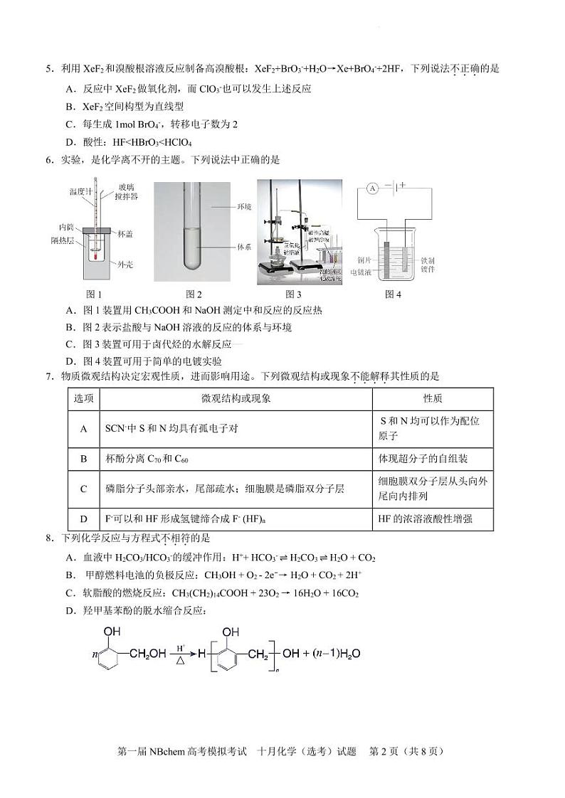 浙江第一届NBchem2024-2025学年高三上学期高考模拟考试化学试题（含答案）第2页
