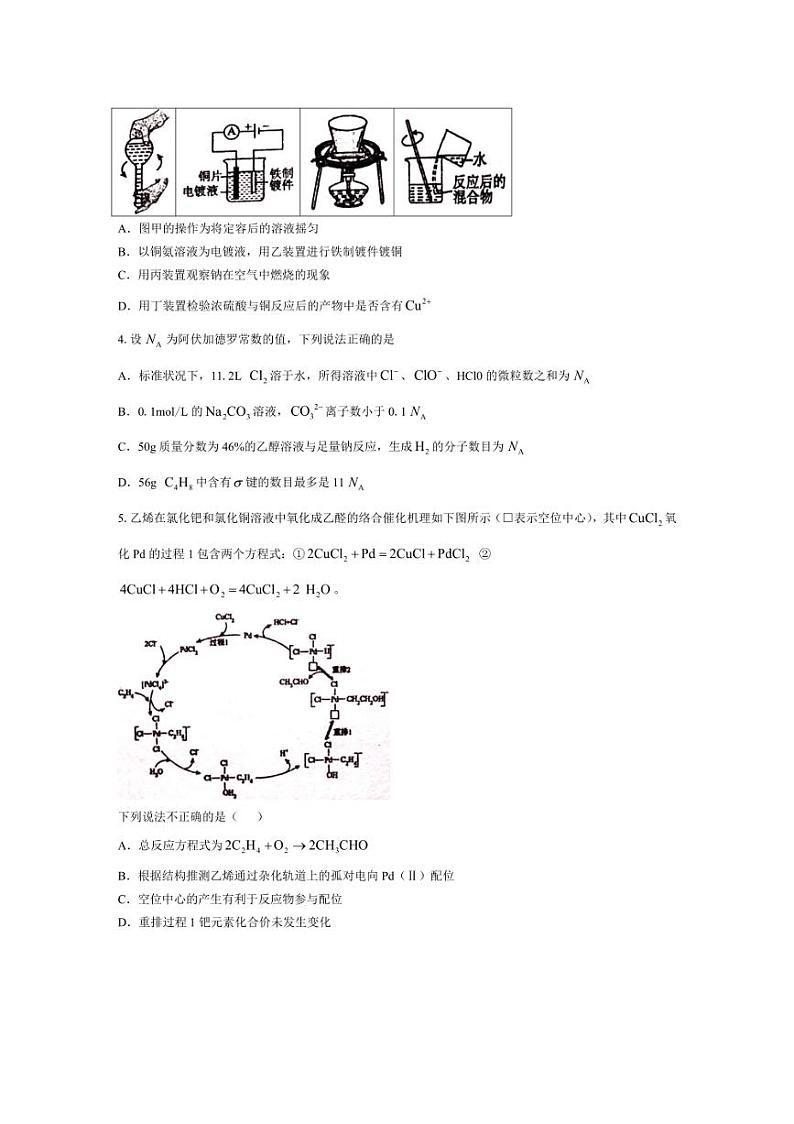 [化学]江西省南昌市第十中学2024～2025学年高三上学期第一次月考试题(有答案)第2页