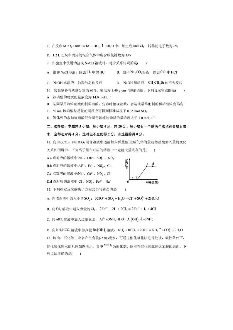 [化学]山东省潍坊外国语学校2024～2025学年高三上学期第一次质量检测月考试题(有答案)第3页