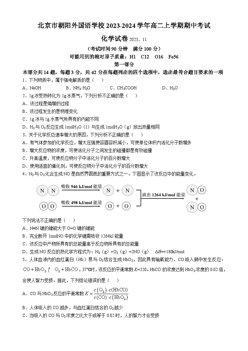 北京市朝阳外国语学校2023-2024学年高二上学期期中考试化学试题（含答案）01