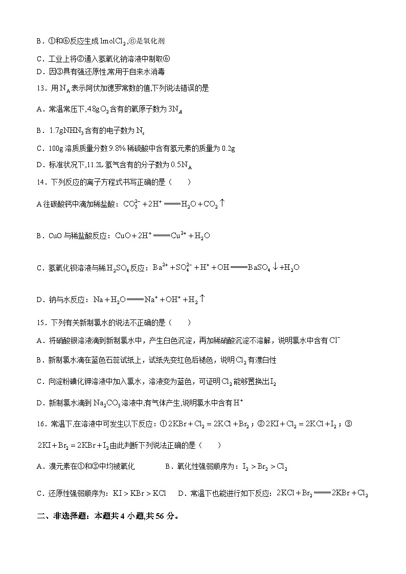 广东省东莞市韩林高级中学2023-2024学年高一上学期期中考试化学试题第3页