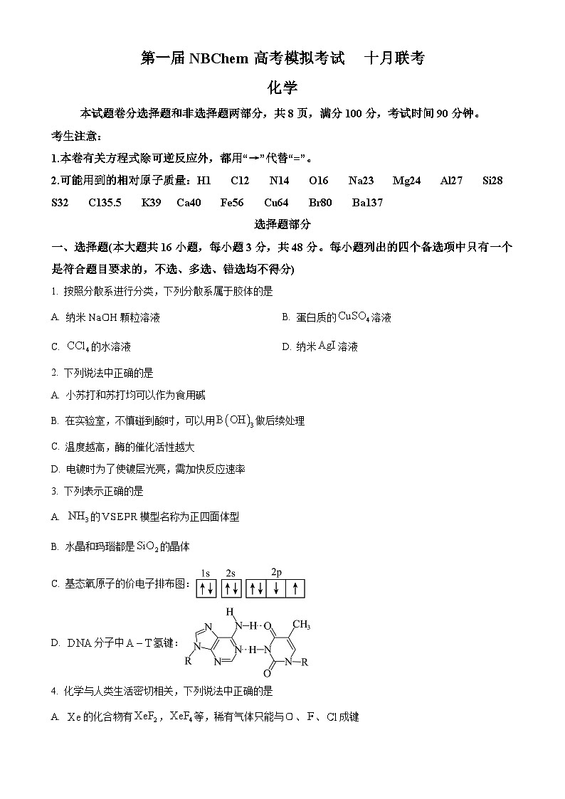 浙江省第一届NBchem2024-2025学年高三上学期高考模拟考试  化学试题 Word版无答案第1页