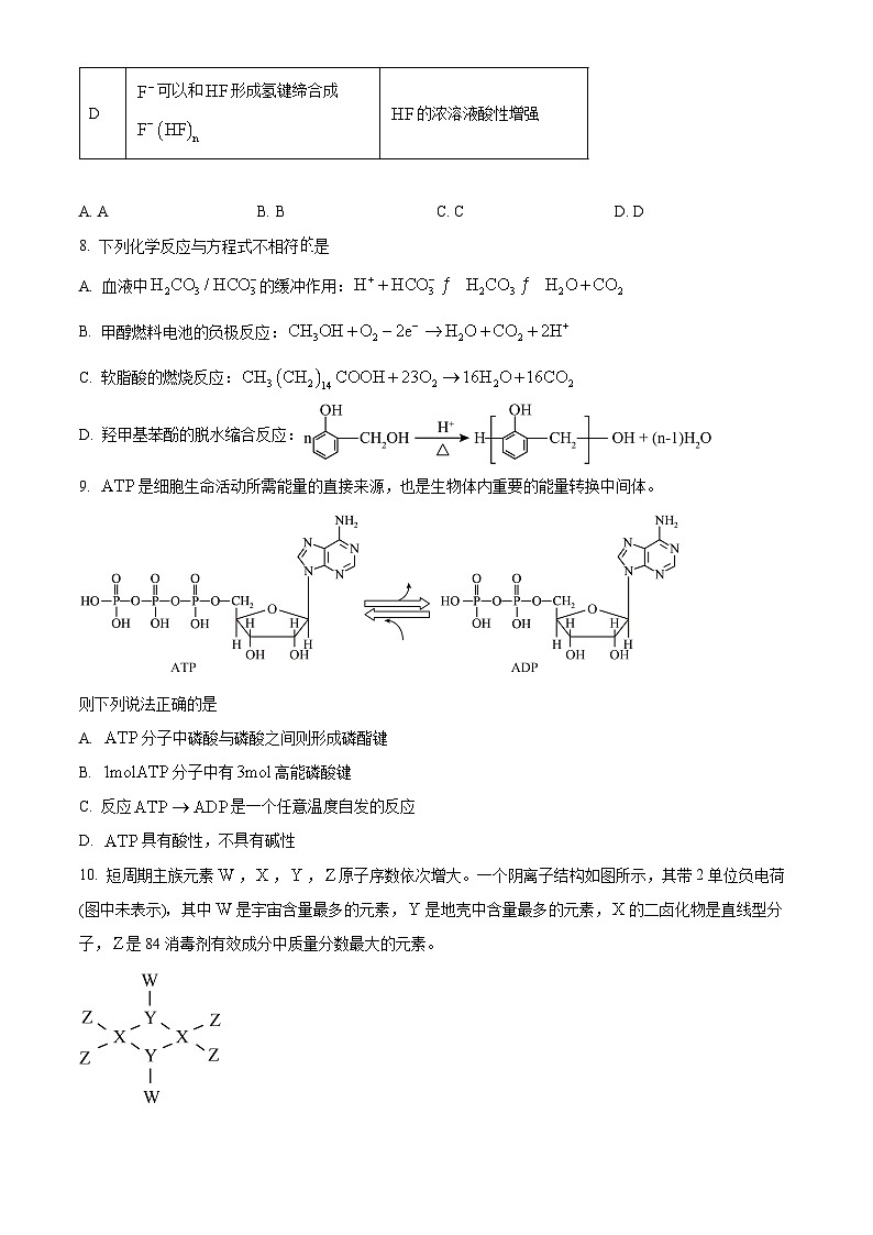 浙江省第一届NBchem2024-2025学年高三上学期高考模拟考试  化学试题 Word版无答案第3页