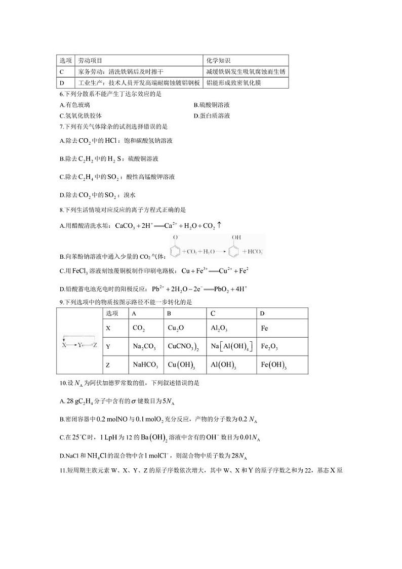[化学]四川省名校联盟2024～2025学年高三上学期10月大联考试卷(有解析)第2页