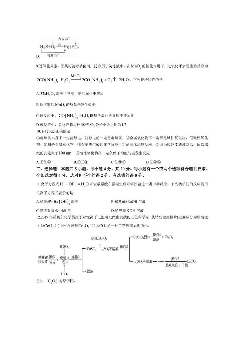 [化学]河南省长垣县育才高中2024～2025学年高一上学期模拟选科走班调考月考试题(有答案)第3页