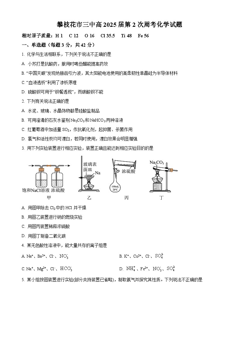 四川省攀枝花市第三高级中学2024-2025高三上学期第二次模拟考化学试题（Word版附解析）01