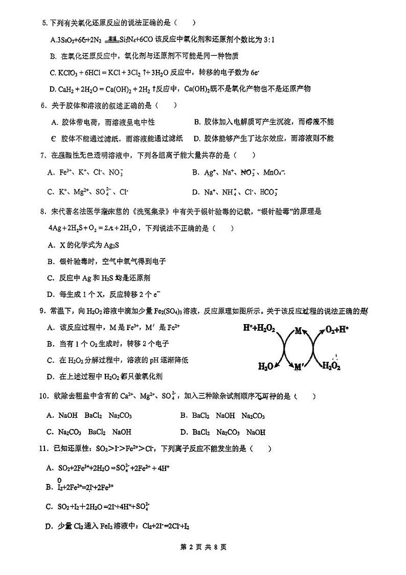 2024年十月中山纪念中学高一段考一化学卷第2页