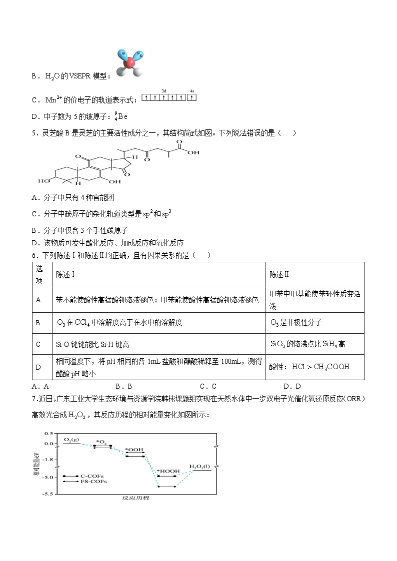 江西省赣州市瑞金第一中学2024-2025学年高三上学期开学考试 化学试题(无答案)02