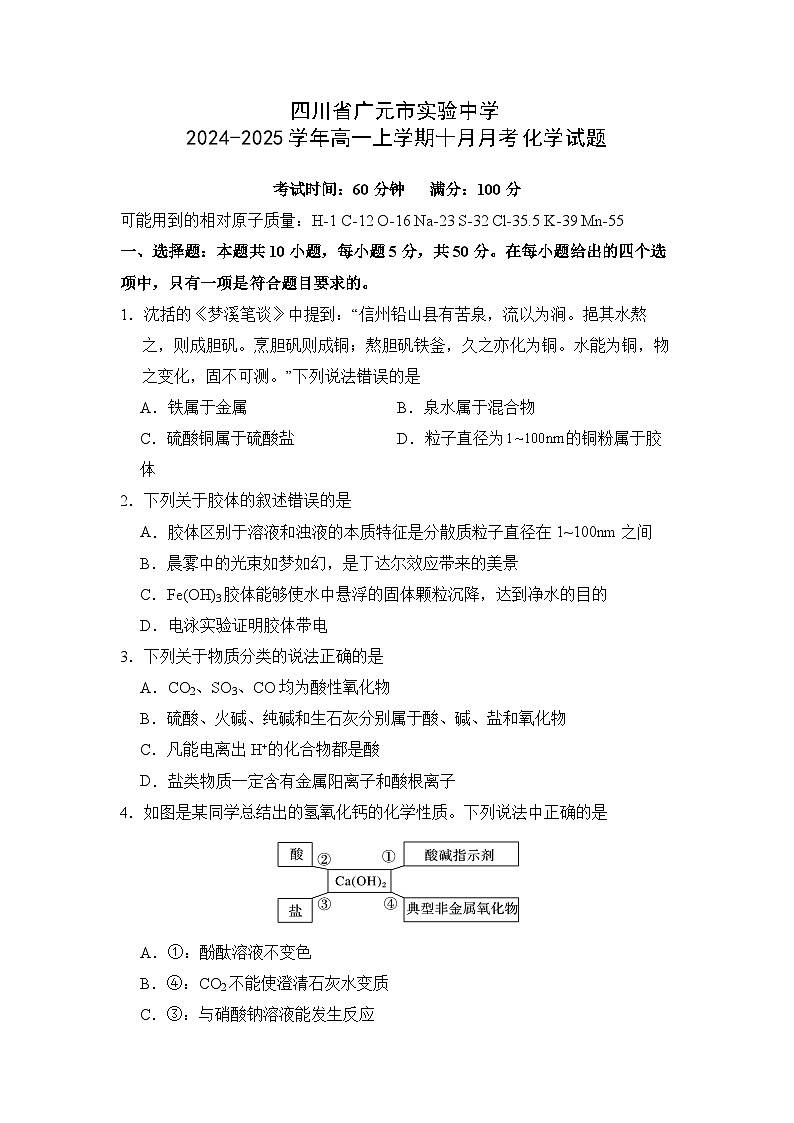 四川省广元市实验中学2024-2025学年高一上学期10月月考化学试题第1页