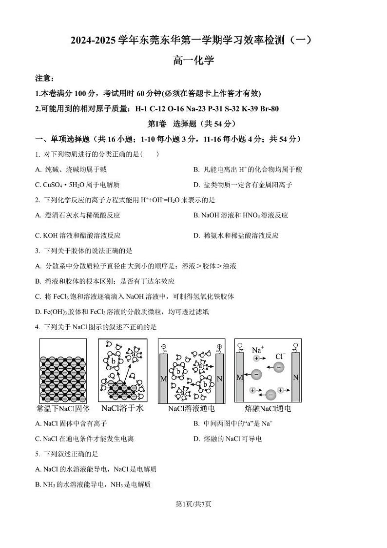 东莞东华高级中学2024年高一上学期第一次月考化学试题+答案01