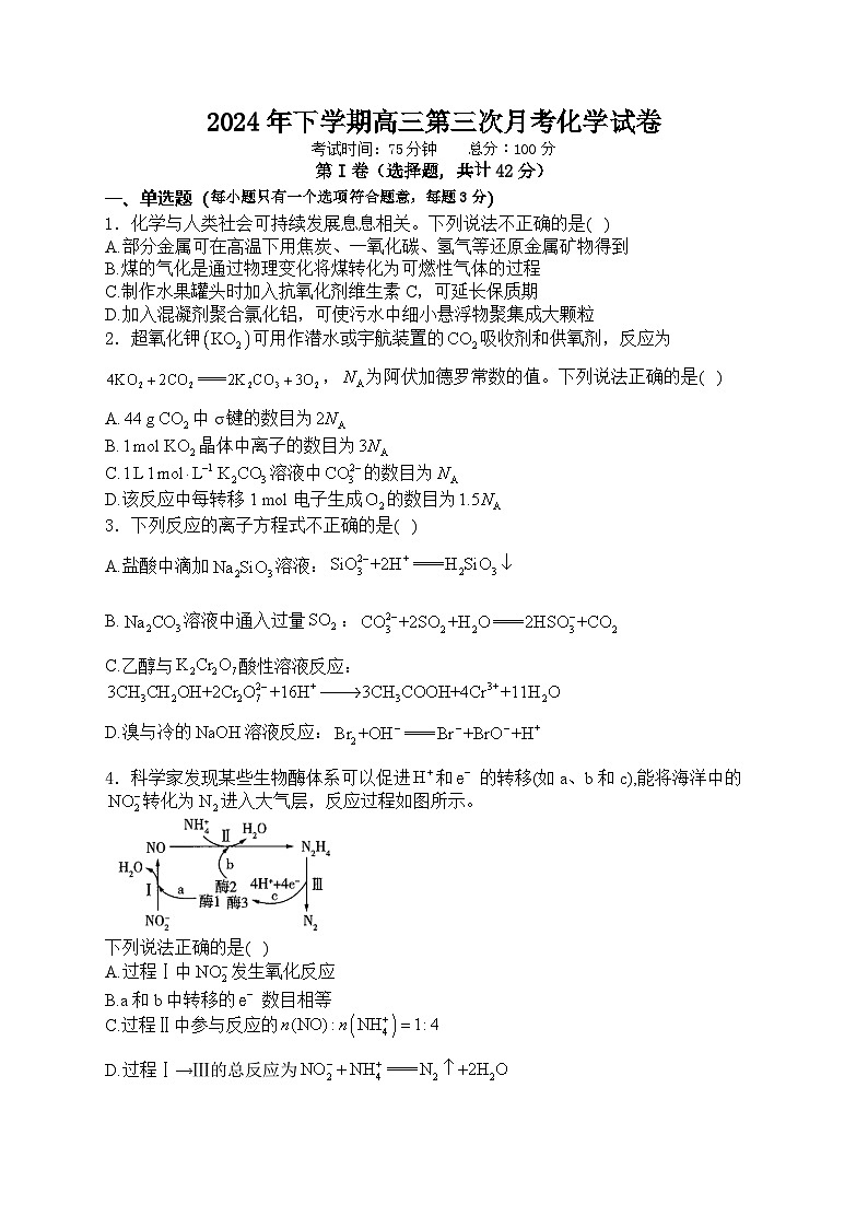 2024年下学期高三第三次月考化学试卷第1页