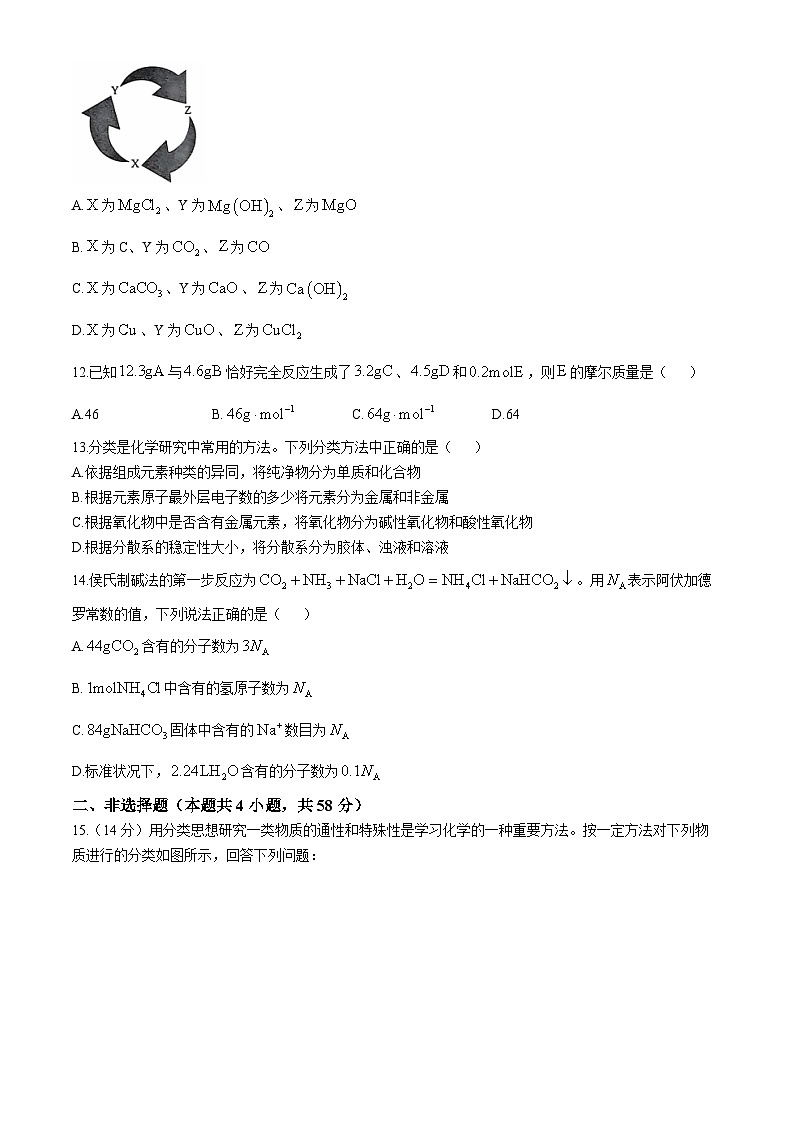河北省沧州市四校联考2024-2025学年高一上学期10月期中考试 化学试题第3页